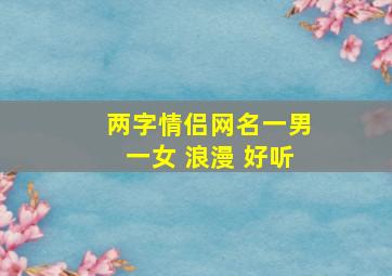 两字情侣网名一男一女 浪漫 好听